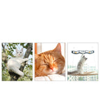 Pet Litter Sucker Hanging Cat Window Hammock